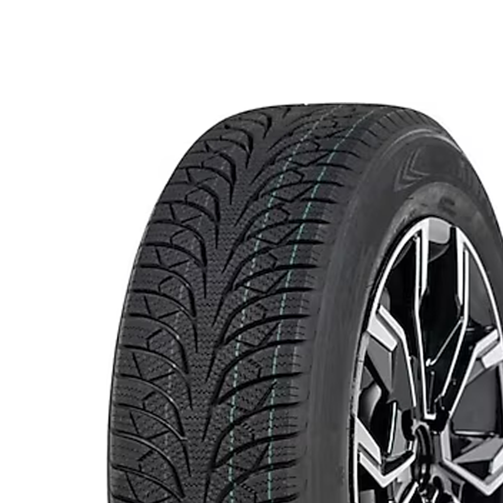 195/65R15 91H SNOW PAW