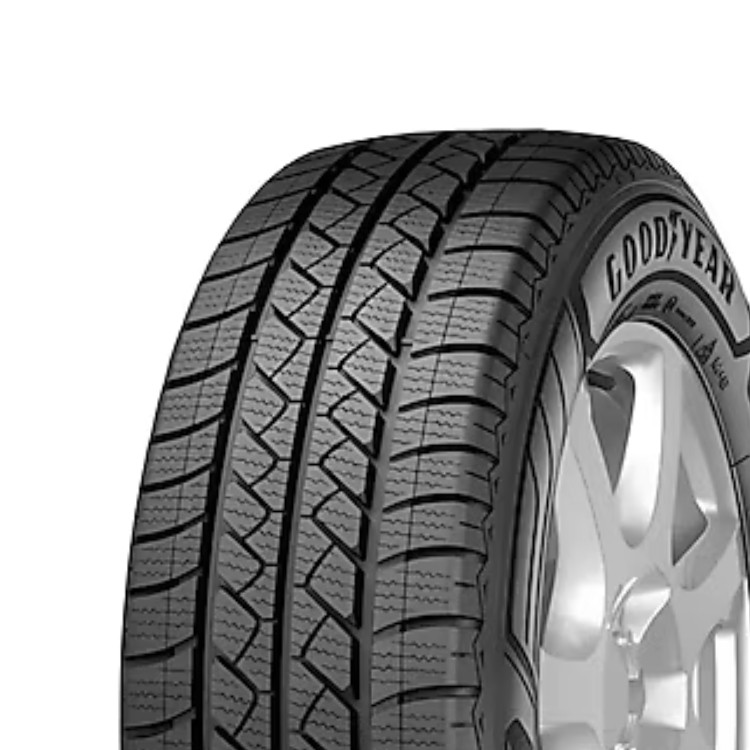 195/75R16C 107/105R EAG SP 4S CARGO
