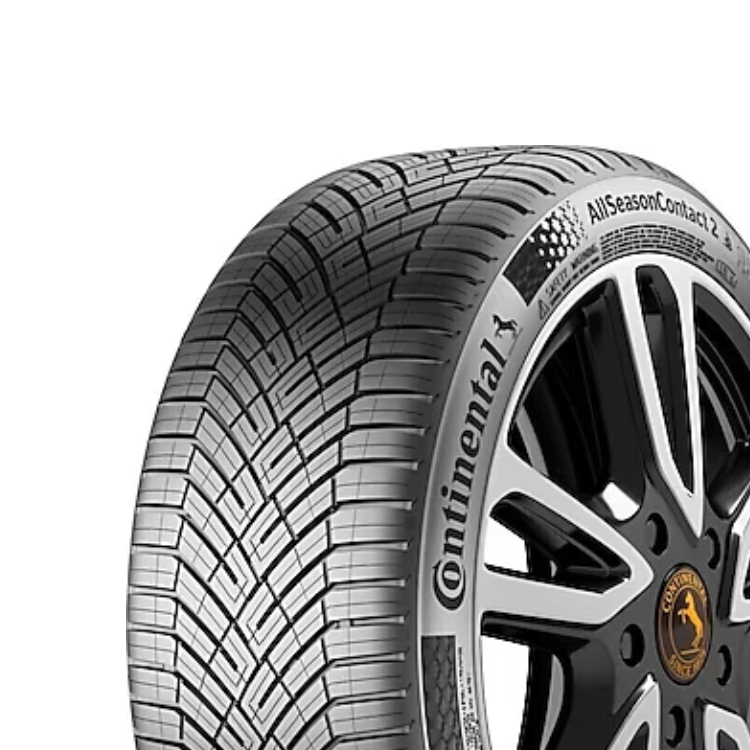 CONTINENTAL 205/55R16 91H ALL SEASON CONTACT 2