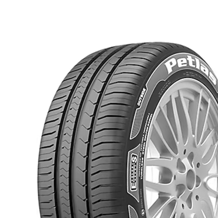 205/55R16 91H PROGREENPT525