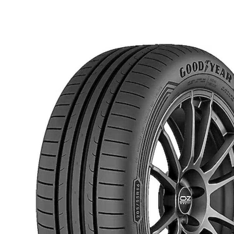 205/55R16 91V EAGLE SPORT 2