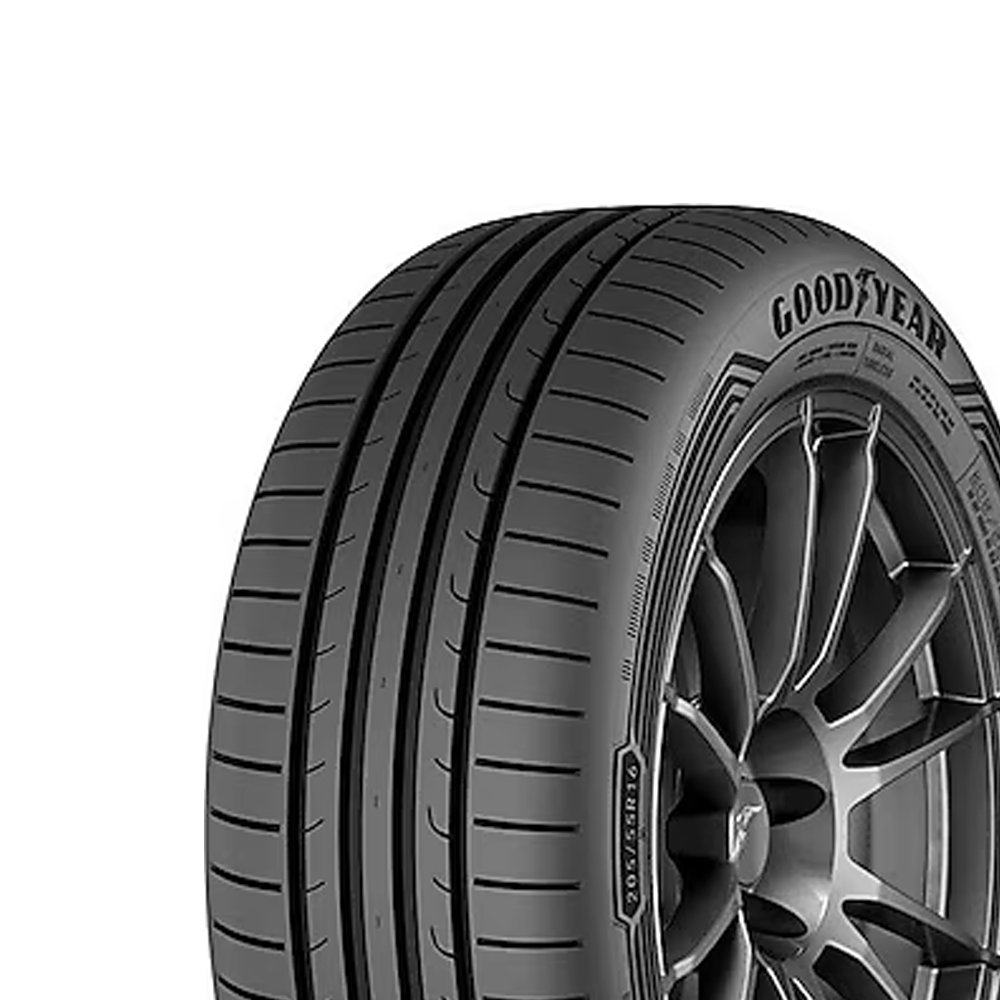 205/55R17 95V XL EAGLE SPORT 2