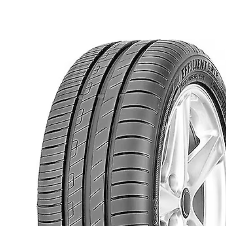 205/60R16 92V EFFIGRIP PERF