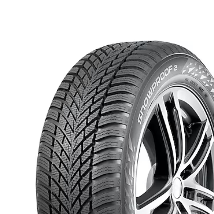 215/60R16 99H SNOWPRO