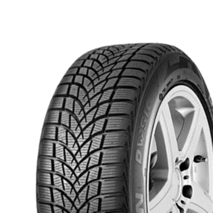 225/55R16 95H DW510 EVO
