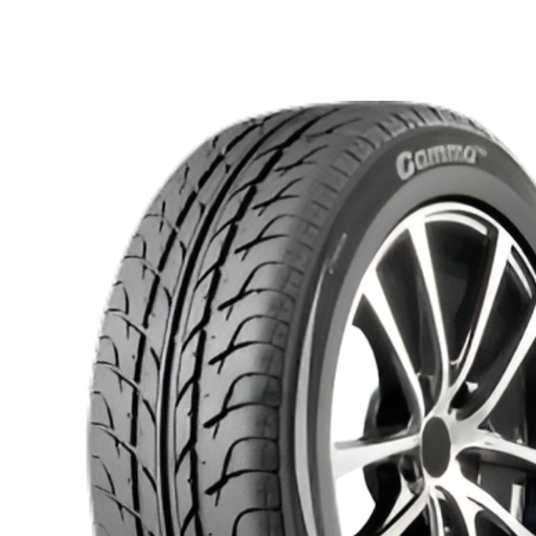 245/40R17 95H GAMMA B2