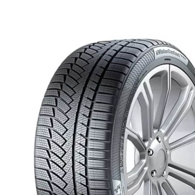255/65R19 114V XL S-WNT2