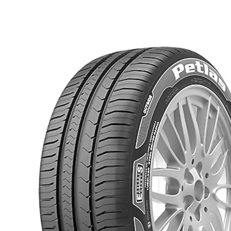 205/60R16 92H PROGREENPT525