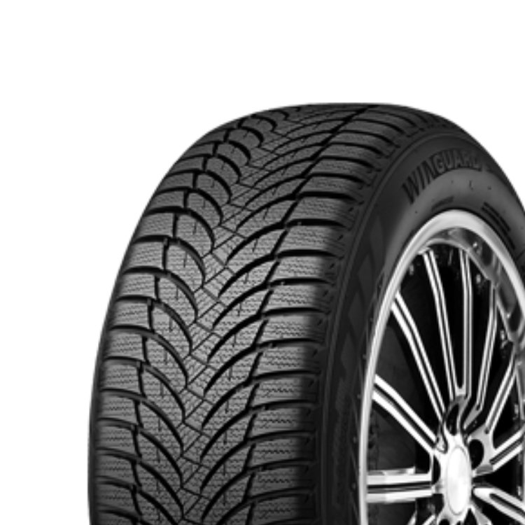 175/65R14 86T XL SNOW GUARD WH2
