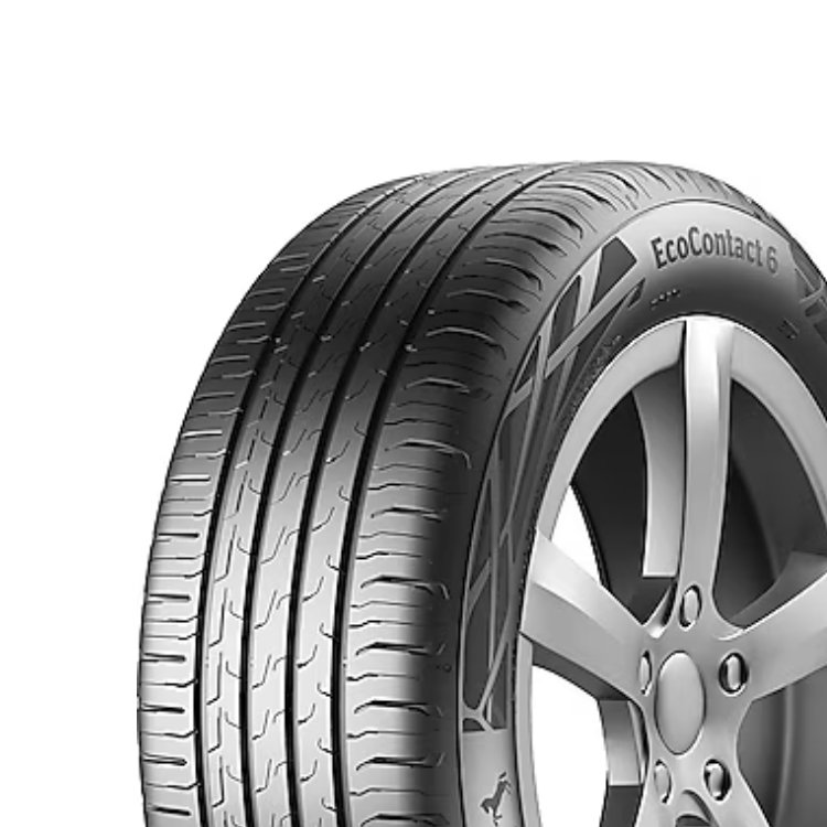 205/55R16 91V ECOCONTACT 6